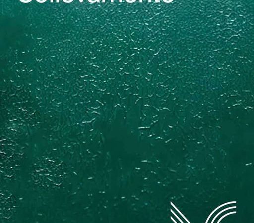 WITH VIVCOLOR THERE ARE NO DEFECTS The lifting is the