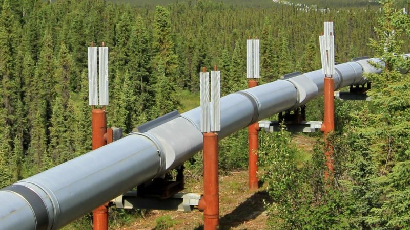 Vivepox single component fund you need a versatile fund that