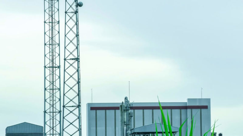 PolyvivviVe 2k WB: professional performance with eco friendly formula are you