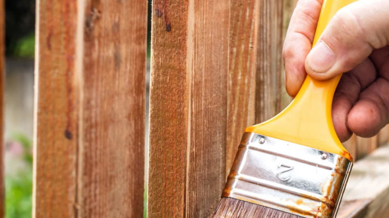Vivolite: Professional Filler for wood and masonry do you have