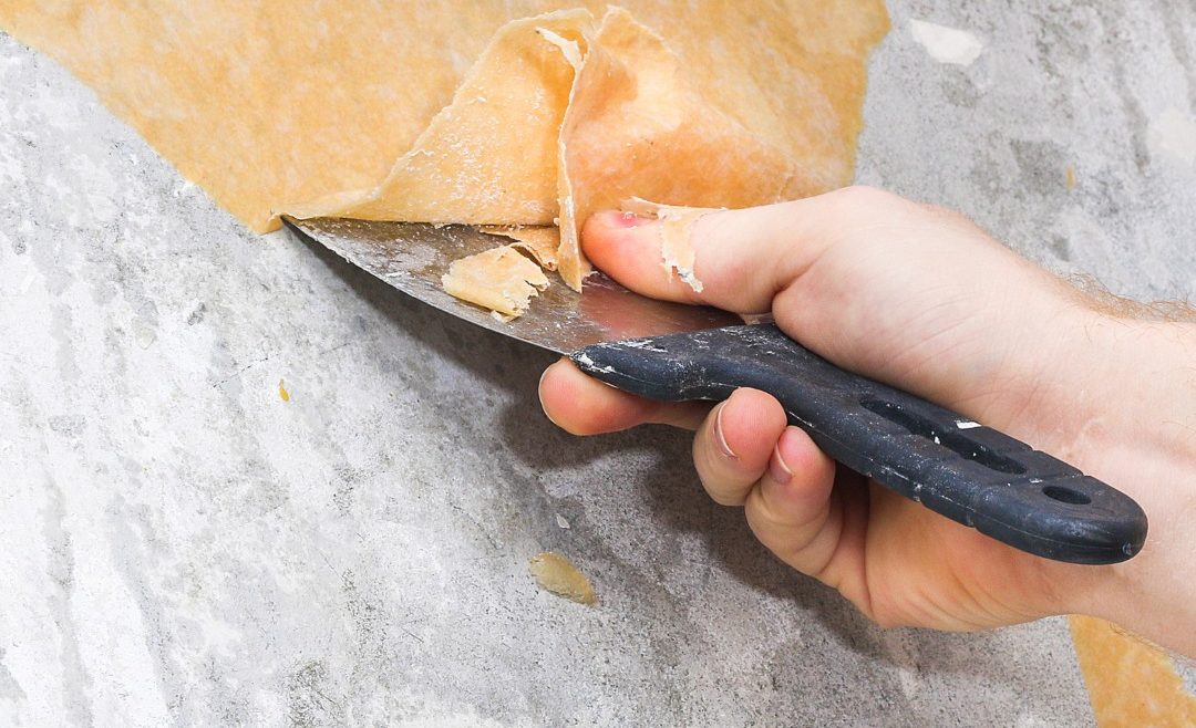 SVERNICIATORE: GEL UNIVERSALE PER RIMOZIONE VERNICI SU LEGNO E FERRO