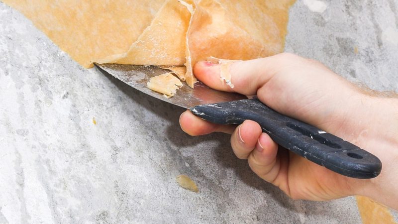 SVERNICIATORE: GEL UNIVERSALE PER RIMOZIONE VERNICI SU LEGNO E FERRO