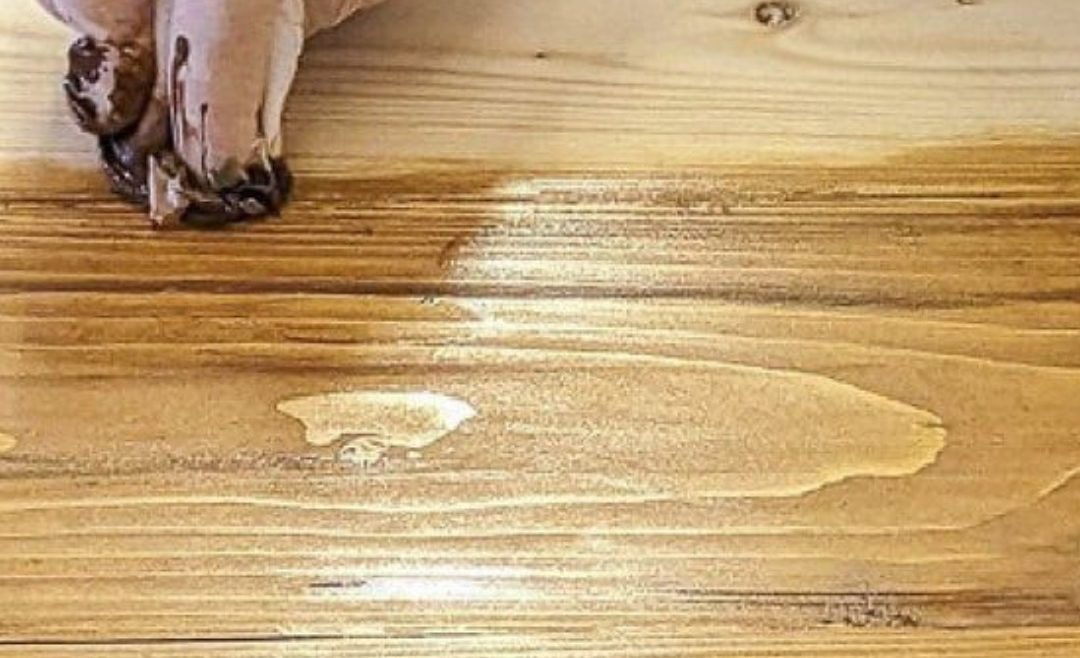 TURPORE PAINTER: Professional Preparation Fund for wood This background paint