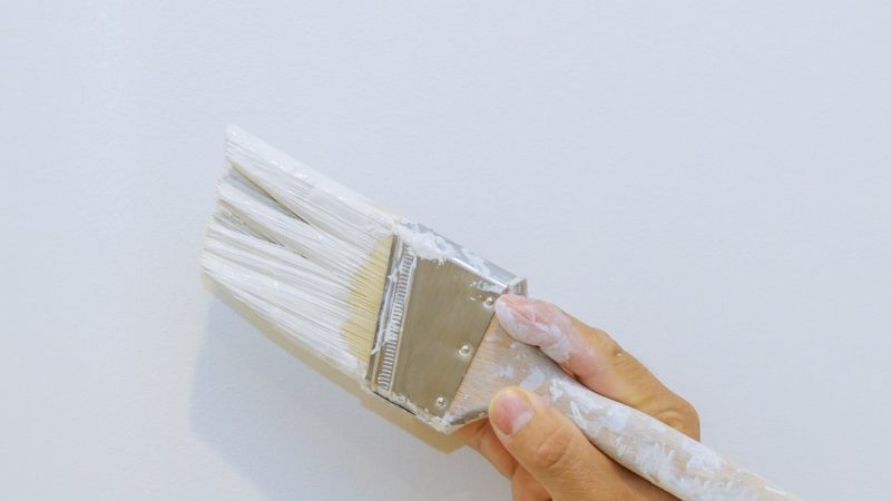 VIVAIRANTIMUFFA – BREATHABLE ANTI MOLD WALL PAINT: BREATHABLE PAINT FOR INTERIORS